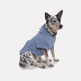 Roupa para Cachorro Blusão Sampa Azul